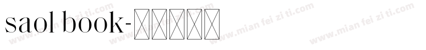saol book字体转换